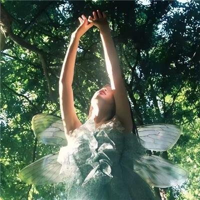 达伦·布朗:牺牲